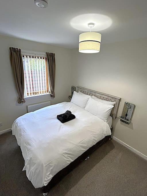 Cosy At Camden, Entire Bungalow Evanton ภายนอก รูปภาพ